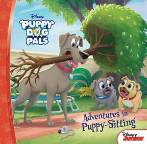 Adventures in Puppy-Sitting by Annie Auerbach, Jessica Carleton