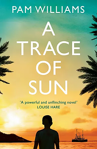 A Trace of Sun by Pam Williams