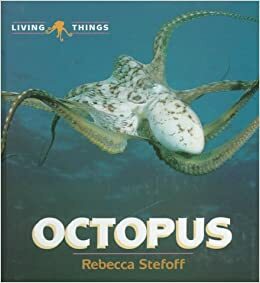 Octopus by Rebecca Stefoff