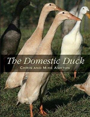 Domestic Duck by Chris Ashton, Mike Ashton
