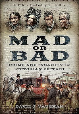 Mad or Bad: Crime and Insanity in Victorian Britain by David J. Vaughan