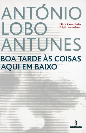 Boa Tarde às Coisas Aqui em Baixo by António Lobo Antunes