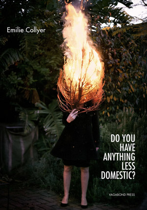 Do You Have Anything Less Domestic by Emilie Collyer