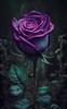 awhisperingwillow's profile picture
