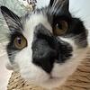 twillsy's profile picture