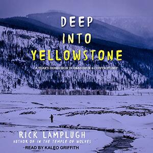 Deep into Yellowstone: A Year's Immersion in Grandeur and Controversy by Rick Lamplugh