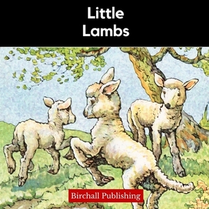 Little Lambs by Birchall Publishing