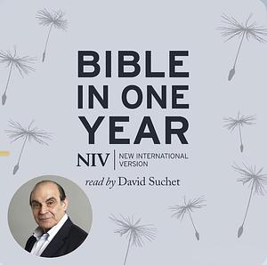 NIV Audio Bible in One Year by Anomymous