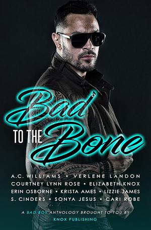 Bad to the Bone: A Bad Boy Anthology by Erin Osborne, Cari Robe, Lizzie James, A.C. Williams, Verlene Landon, S. Cinders, Sonya Jesus, Krista Ames, Courtney Lynn Rose, Elizabeth Knox