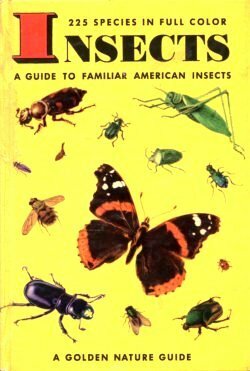 Insects: A Guide to Familiar American Insects by Herbert Spencer Zim, James Gordon Irving, Clarence Cottam