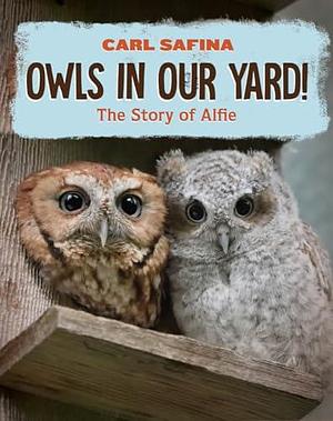 Owls in Our Yard!: The Story of Alfie by Carl Safina, Carl Safina