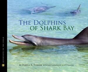 The Dolphins of Shark Bay by Pamela S. Turner