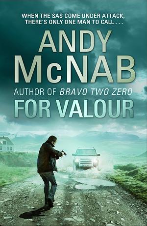 For Valour by Andy McNab