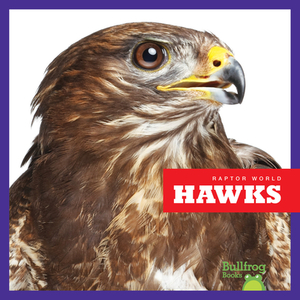 Hawks by Jenna Lee Gleisner