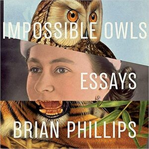 Impossible Owls Lib/E: Essays by Brian Phillips