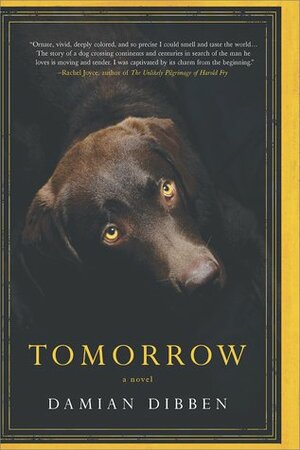 Tomorrow by Damian Dibben