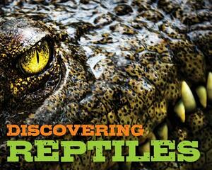 Discovering Reptiles Handbook by Cider Mill Press