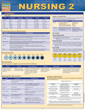 Nursing 2 by Barcharts Inc