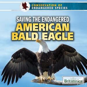 Saving the Endangered American Bald Eagle by Therese Shea