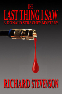The Last Thing I Saw by Richard Stevenson