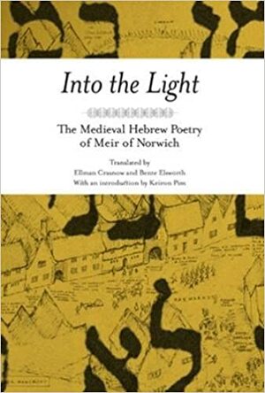 Into the Light: The Medieval Hebrew Poetry of Meir of Norwich by Meir of Norwich