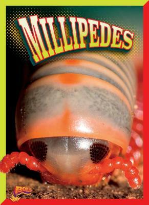 Millipedes by Gail Radley