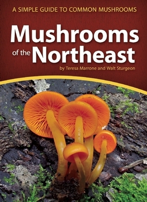 Mushrooms of the Northeast: A Simple Guide to Common Mushrooms by Walt Sturgeon, Teresa Marrone