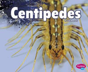 Centipedes by Lisa J. Amstutz