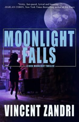 Moonlight Falls by Vincent Zandri