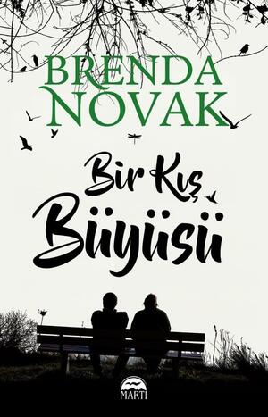 Bir Kış Büyüsü by Brenda Novak