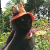 jasmeeow's profile picture