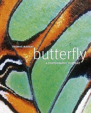 Butterfly by Thomas Marent