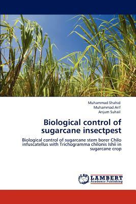 Biological Control of Sugarcane Insectpest by Anjum Suhail, Muhammad Arif, Muhammad Shahid