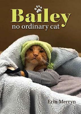 Bailey, No Ordinary Cat by Erin Merryn