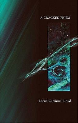 A Cracked Prism by Lorna Lloyd