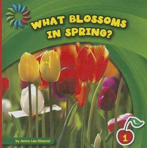 What Blossoms in Spring? by Jenna Lee Gleisner