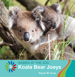 Koala Bear Joeys by Susan H. Gray