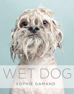 Wet Dog by Sophie Gamand