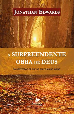 A surpreendente obra de Deus na conversão de muitas centenas de almas by Jonathan Edwards