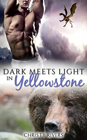 Dark Meets Light in Yellowstone by Christy Rivers