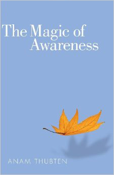 The Magic Of Awareness by Anam Thubten