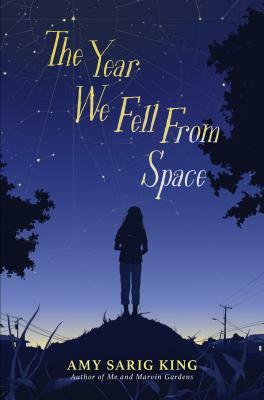 The Year We Fell from Space by Amy Sarig King