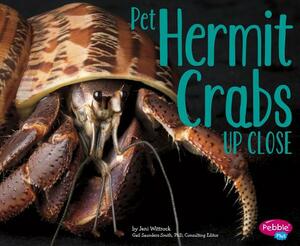 Pet Hermit Crabs Up Close by Jeni Wittrock