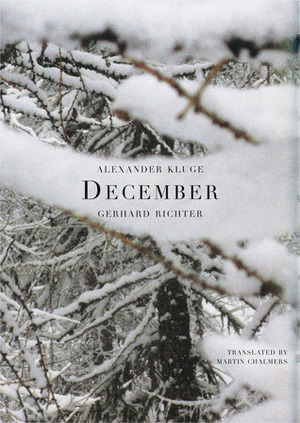 December by Gerhard Richter, Martin Chalmers, Alexander Kluge