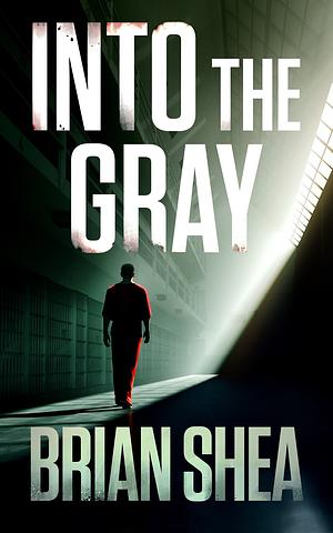 Into the Gray by Brian Shea