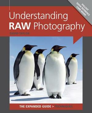 Understanding RAW Photography by David Taylor