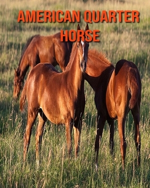 American Quarter Horse: Children Book of Fun Facts & Amazing Photos by Kayla Miller