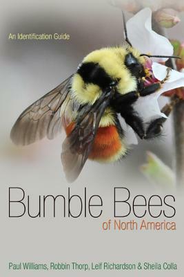 Bumble Bees of North America: An Identification Guide by Robbin W. Thorp, Paul H. Williams, Leif L. Richardson