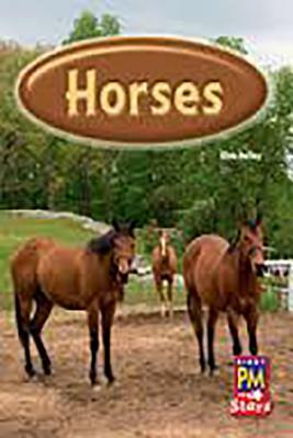 Rigby PM Stars: Leveled Reader Bookroom Package Blue (Levels 9-11) Horses by 