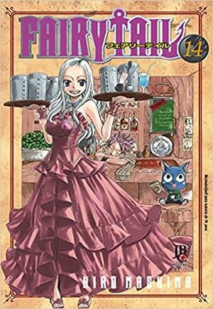Fairy Tail VOL. 14 by Hiro Mashima